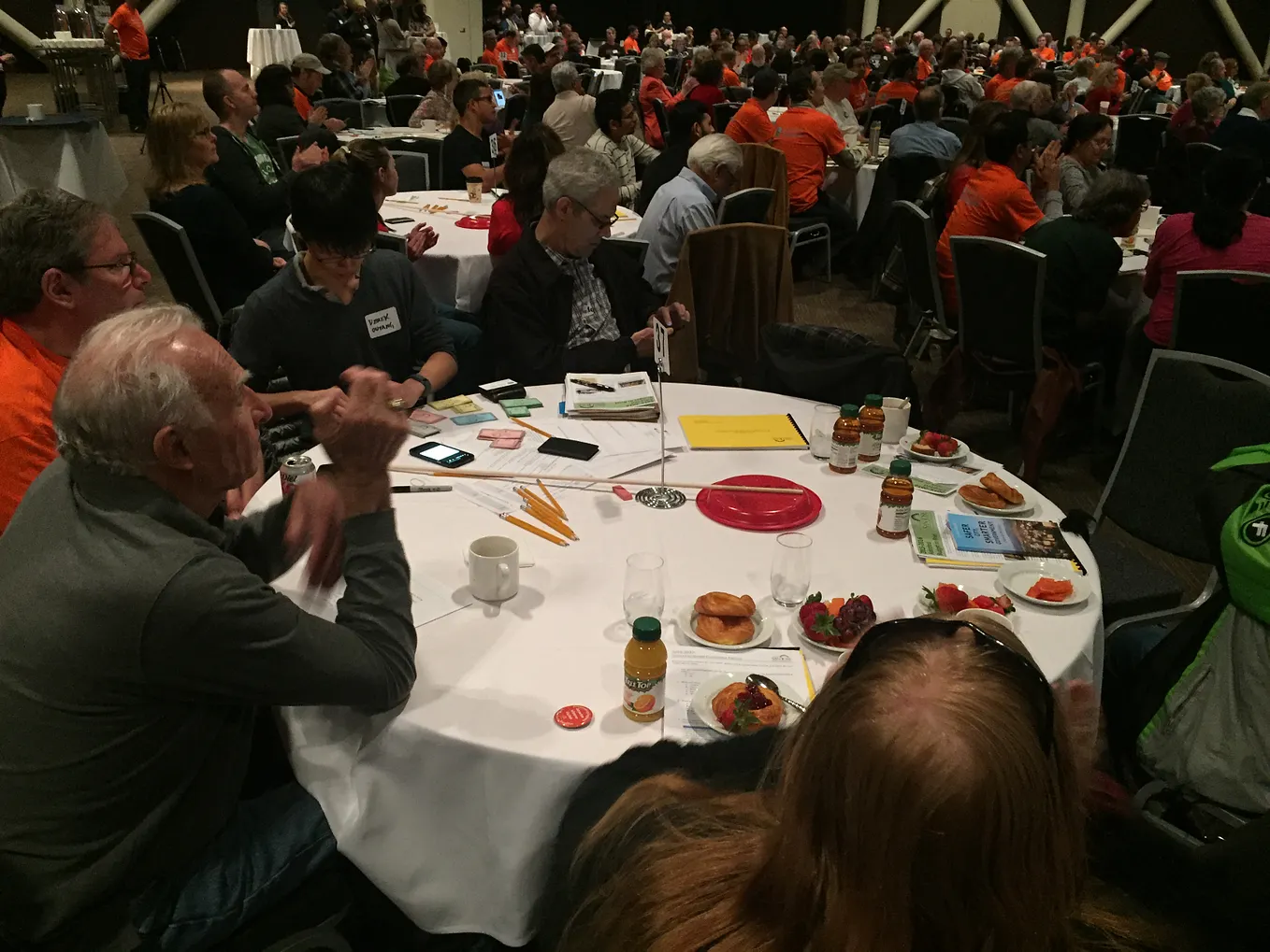 The San Jose City Participatory Budget Experience