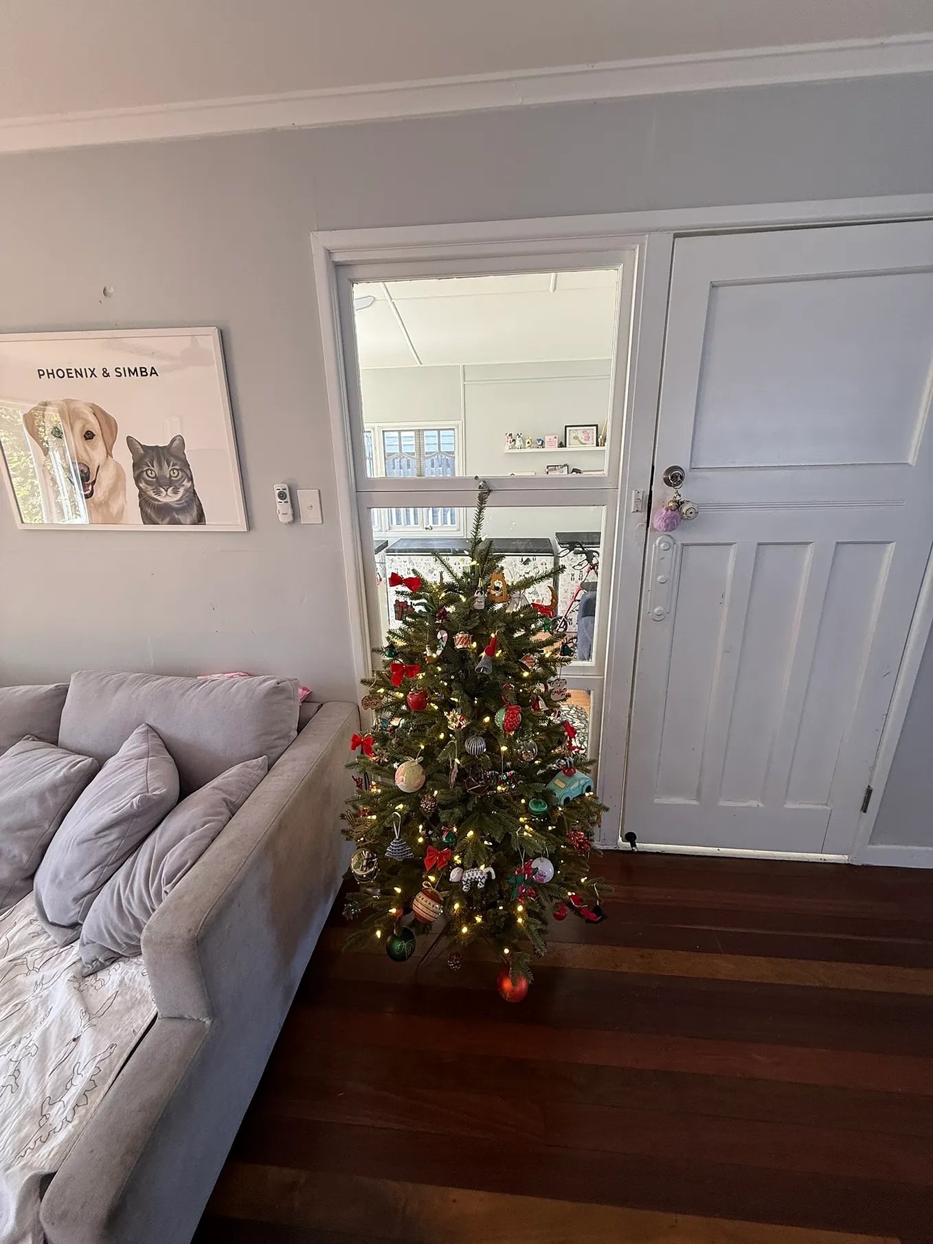 on-shefali-flower-i-wanted-to-write-an-article-on-this-by-dr-seema