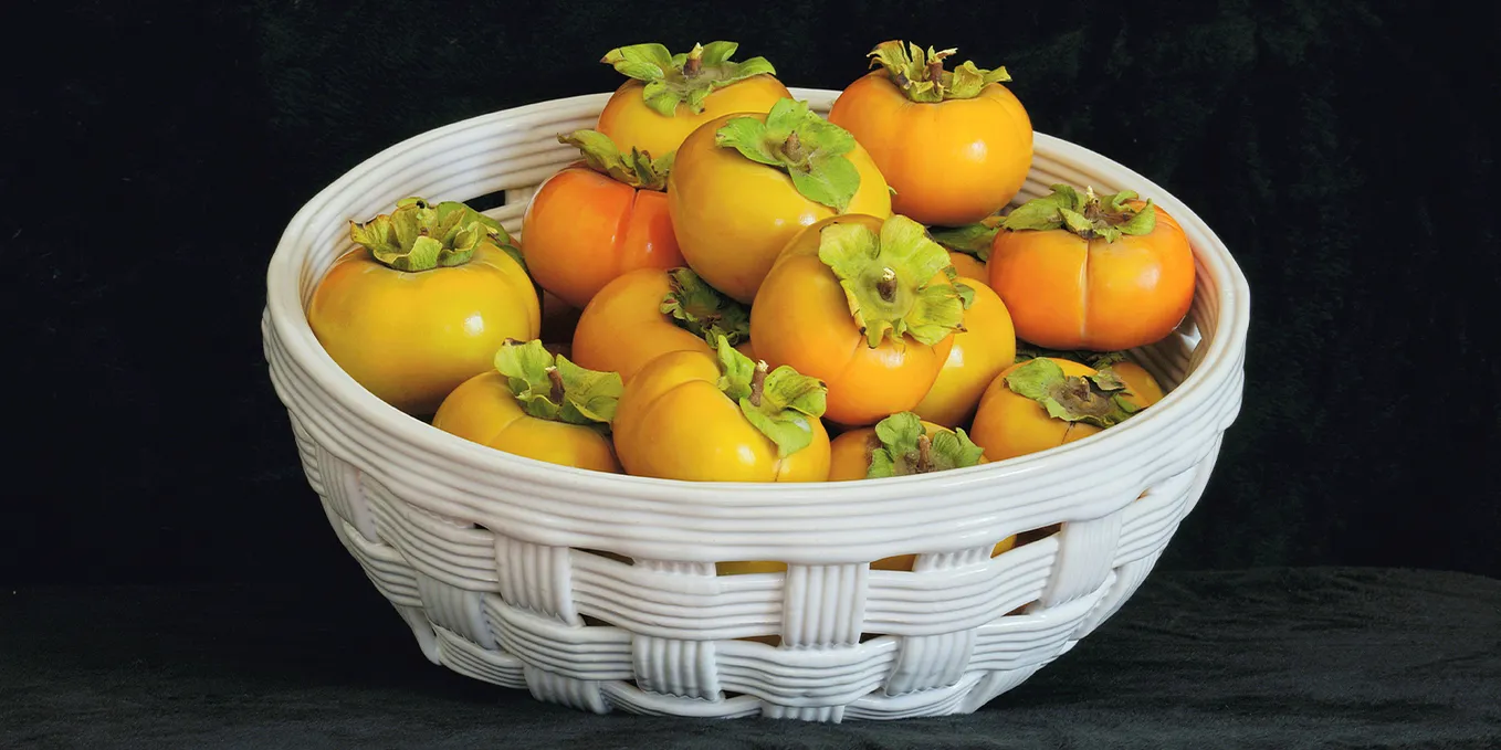 Persimmon The Sweet Nutrient Rich Fruit