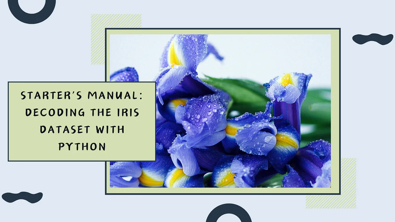 The most insightful stories about Iris Dataset - Medium