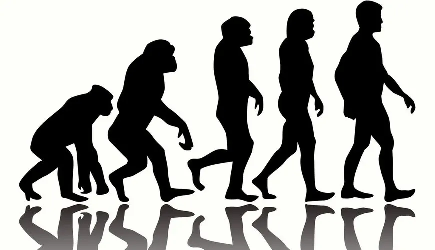 About Human: The Origins of Us
