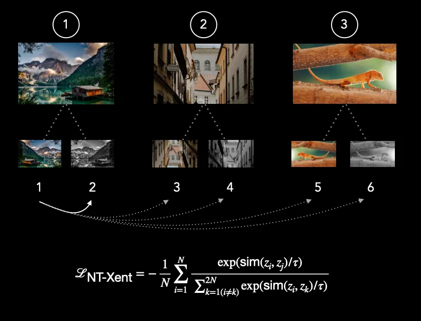 Contrastive Learning Loss: NT-Xent & InfoNCE