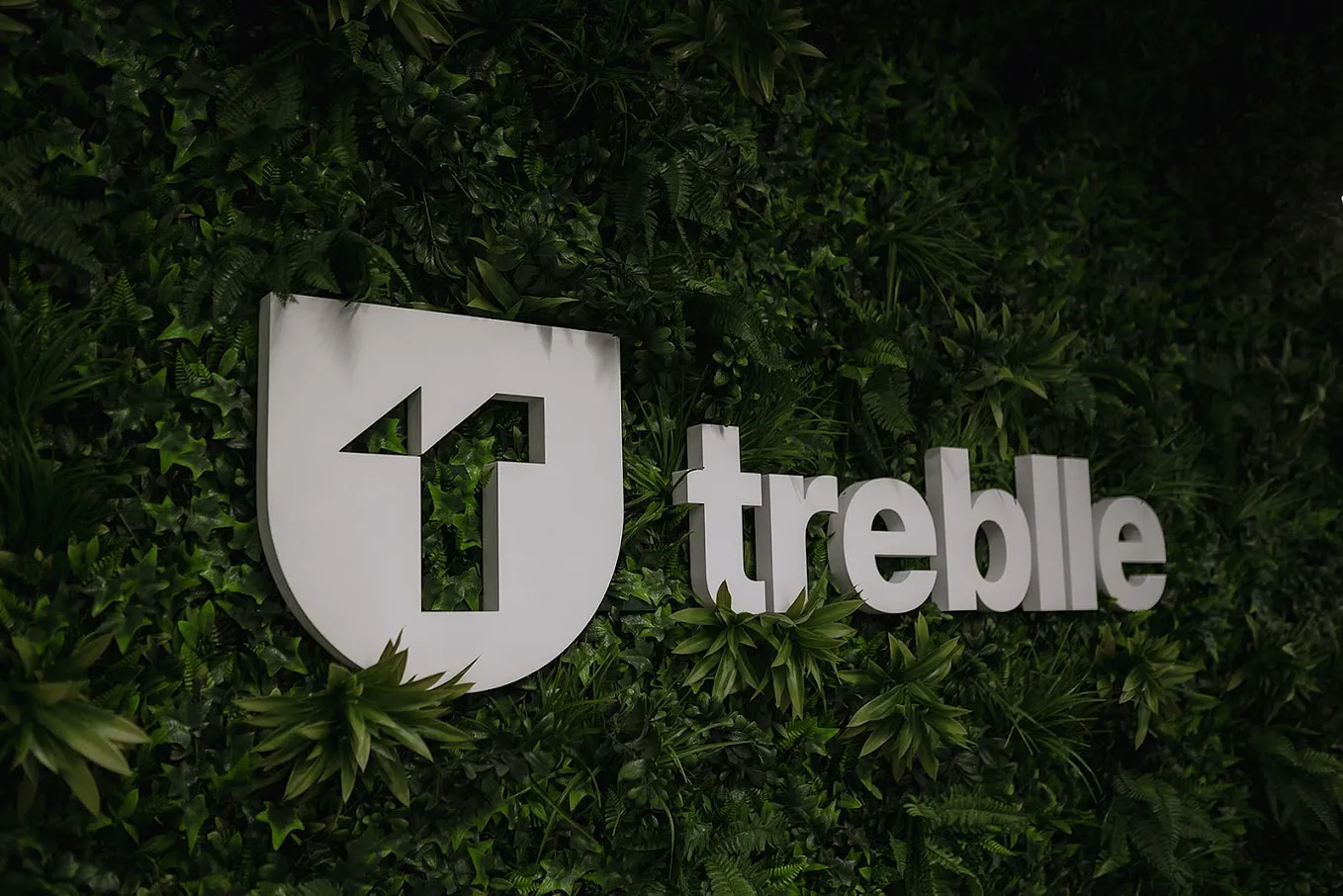 Debugging webhook integrations with Treblle