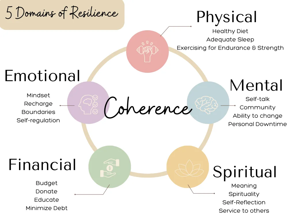 The Domains of Resilience