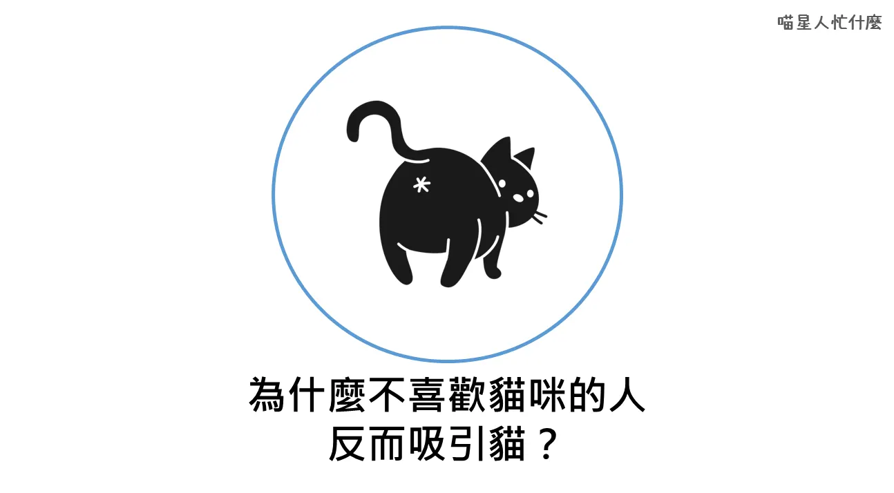 貓咪餵食守則蔬菜篇. 啟稟主子，確認過眼神，這些蔬菜您儘管放心吃！ | by SwiTube Staff | SwiTube |  台灣開放式課程發展協會| Medium