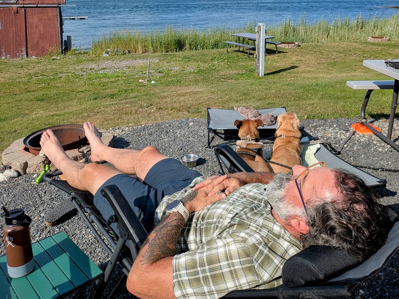 The author and his two dogs Frank (left) and Gus (right) napping on a sunny afternoon at Moose Island. The author reclines in a zero-gravity chair with his feet propped on a fire pit, hands folded on his chest, eyes closed. Both tan dogs rest on camping cots nearby, with a grassy lawn, picnic tables, and water visible in the background.