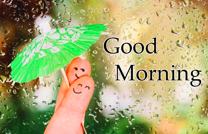 Rainy Morning - Lifeline - Medium