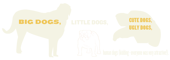 Dogs2