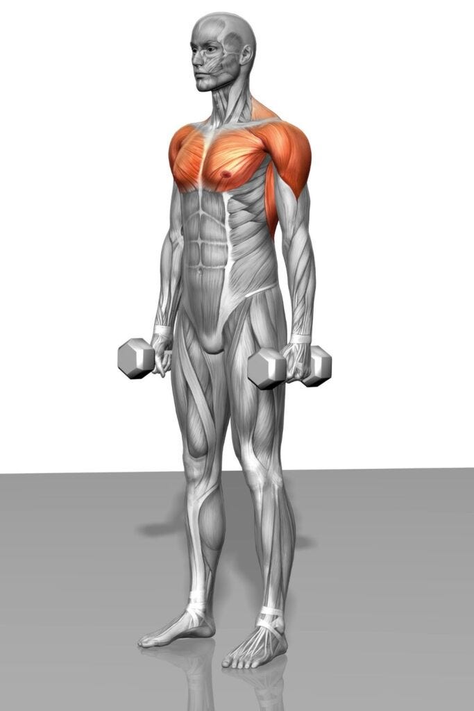 How to Do Dumbbell Front Raise: Muscles Worked & Proper Form