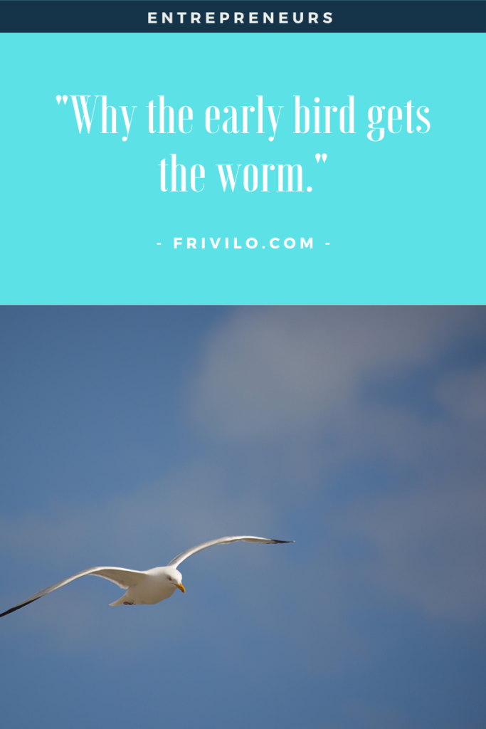 Is Early Bird Gets the Worm a Proverb: Truths You Must Know