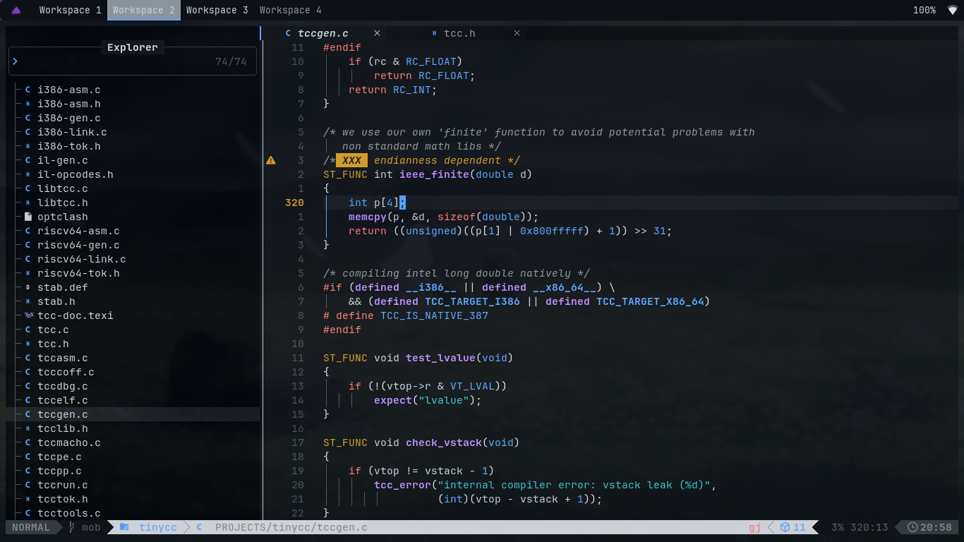 Endianness Dependency? Sounds Like Skill Issue.