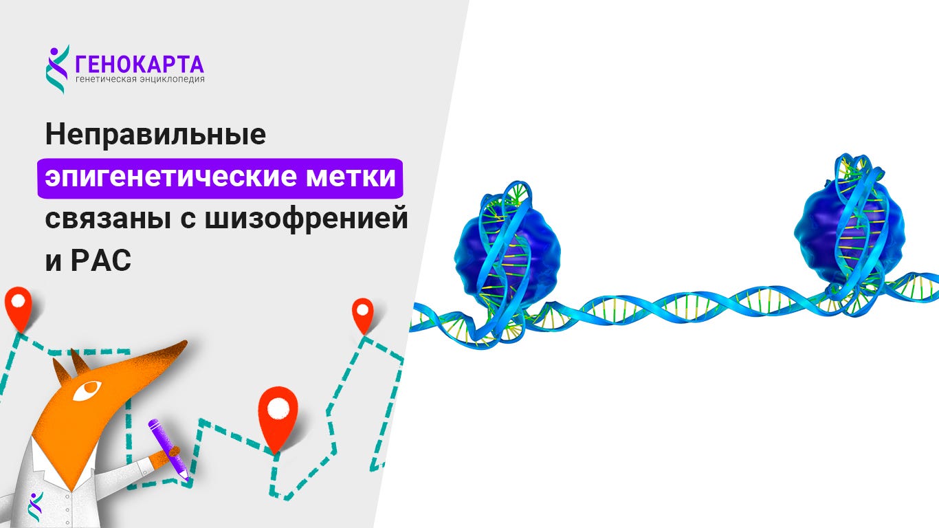Неправильные эпигенетические метки связаны с шизофренией и РАС