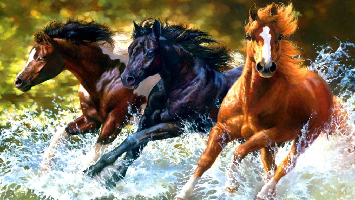 POLO ARGENTINO