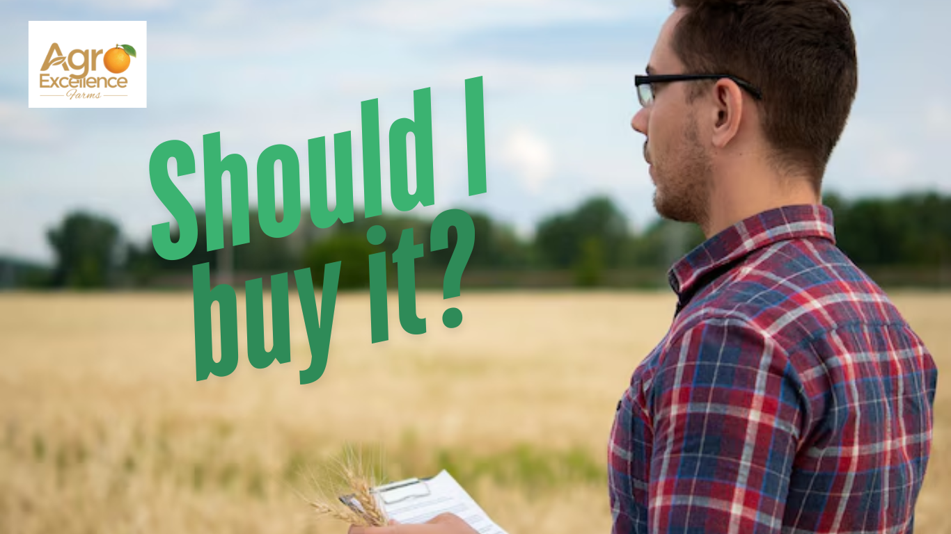 What Are the Important Things to Consider During Buying a Farmland?