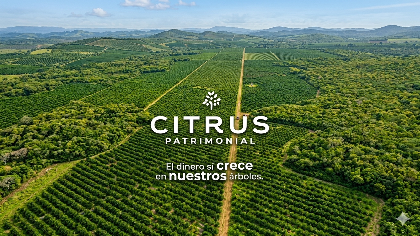 Citrus Patrimonial- La inversión silenciosa que está ganando terreno