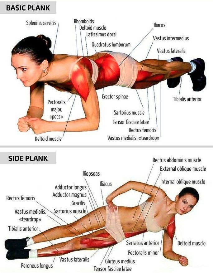 Compound Workout Routine: Boost Strength and Build Muscle Fast