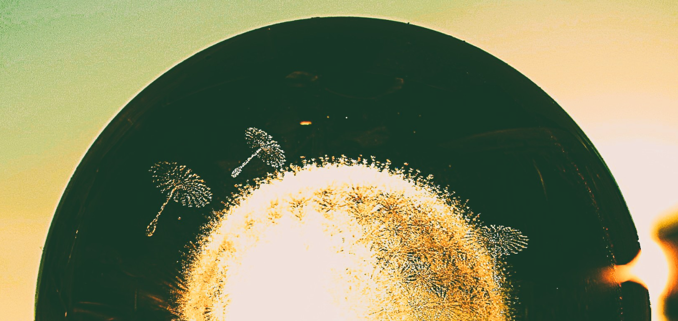 Dragged Toward the Light: An Unexpected PhD in Becoming