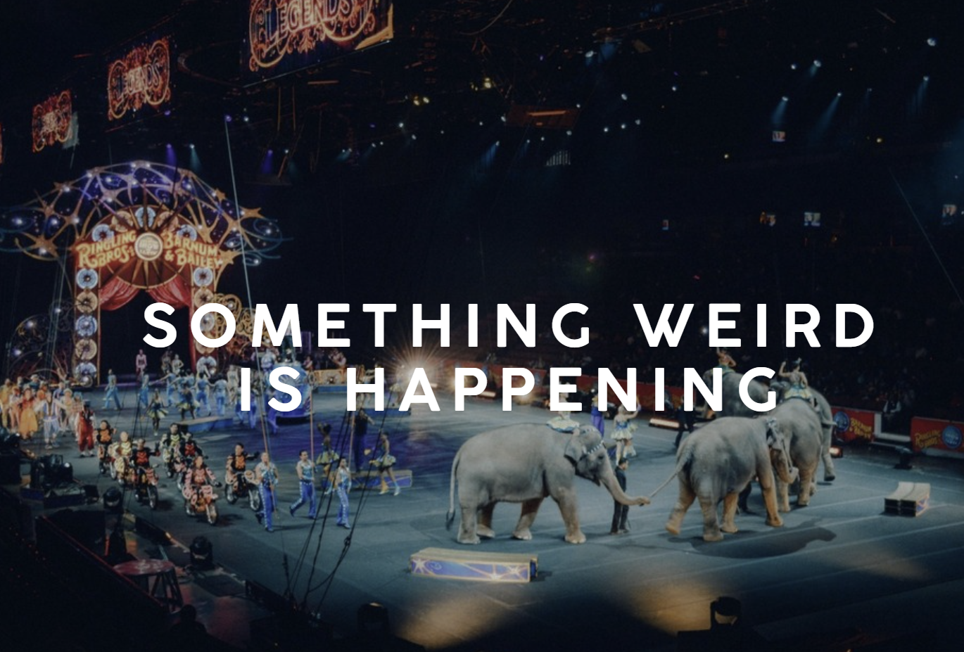 Free animal circus image, public domain entertainment CC0 photo. View public domain image source here