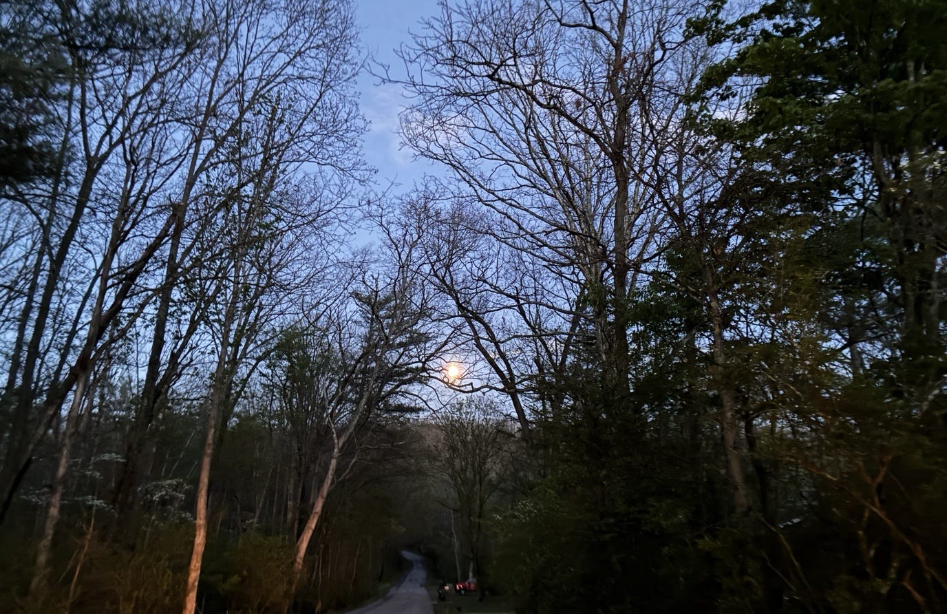 Strawberry Moon