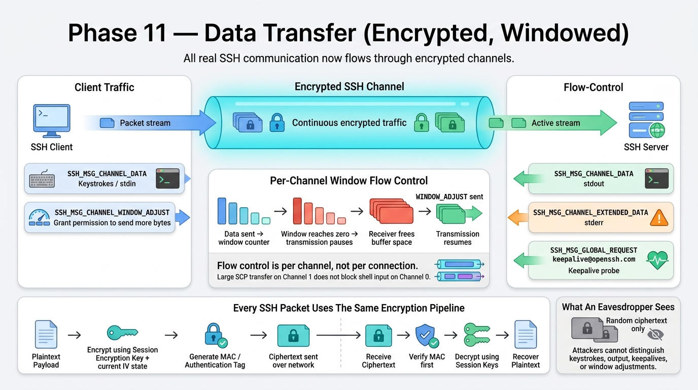 Data Transfer( WIndow Adjust and Global Request)