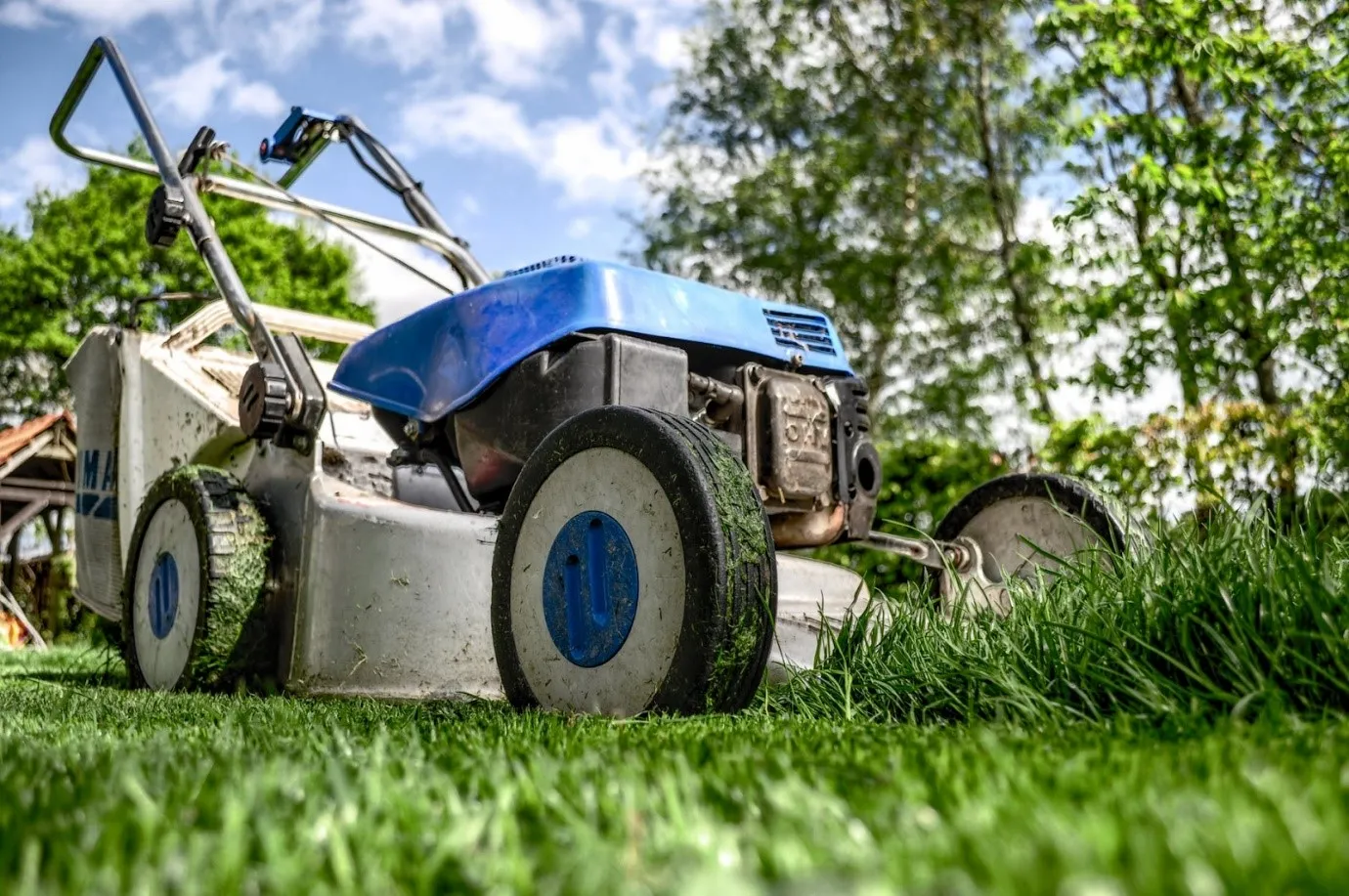 Eco-Friendly Mowing: Sustainable Tips for a Greener Lawn