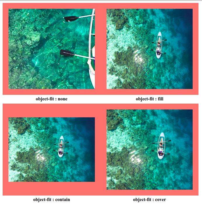 Object-fit” and “Object-position” — Super CSS | by Sandip Shrestha |  codeburst