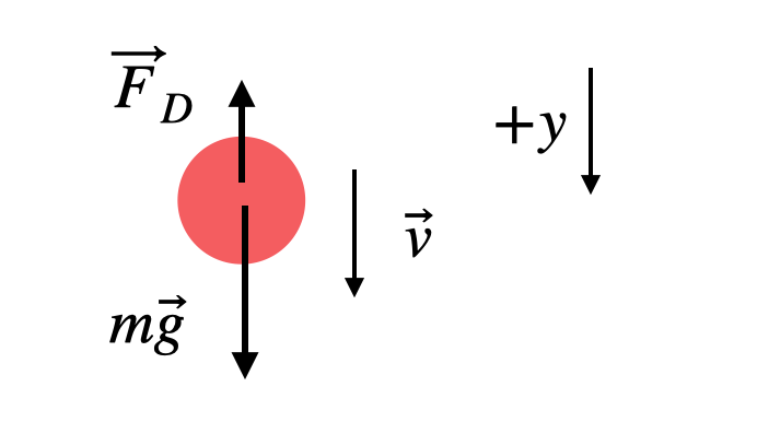 Physics: Motion of an Object With Linear Drag | by Rhett Allain 