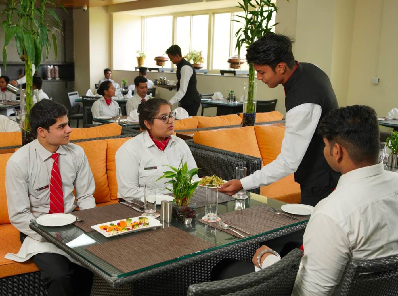 Best Hotel Management Colleges in Delhi NCR 2026: Complete Ranking Guide