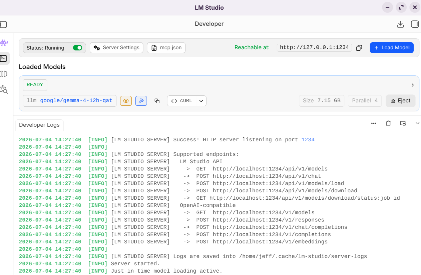 The developer / API server page of LM Studio