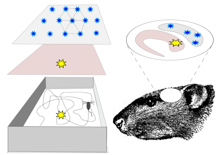 Cells at Work! - Wikipedia