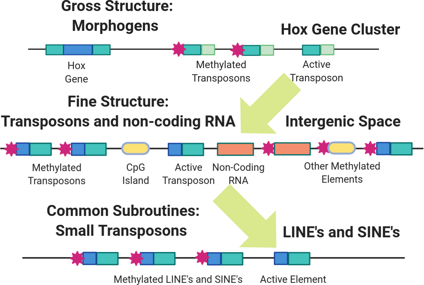 Structure Information as a Hierarchy
