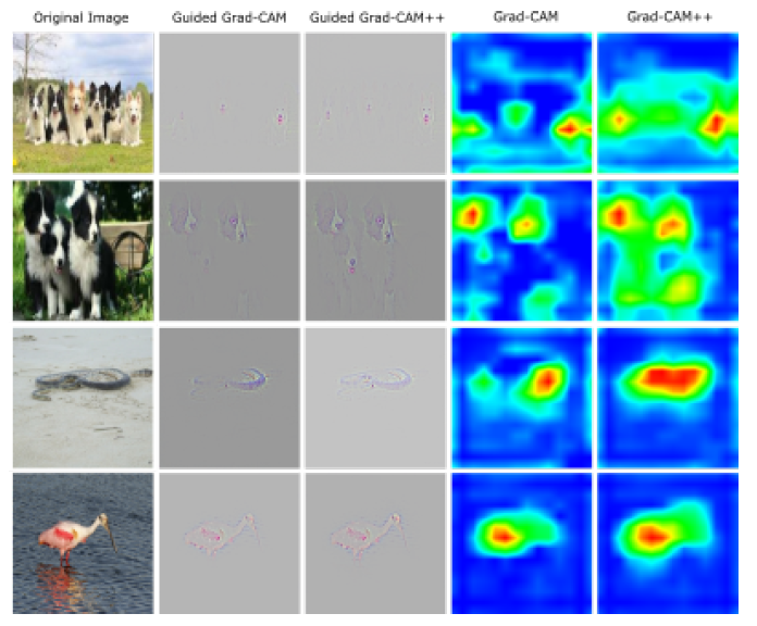 Review — Grad-CAM++: Improved Visual Explanations for Deep Convolutional  Networks (Weakly Supervised Object Localization) | by Sik-Ho Tsang | The  Startup | Medium