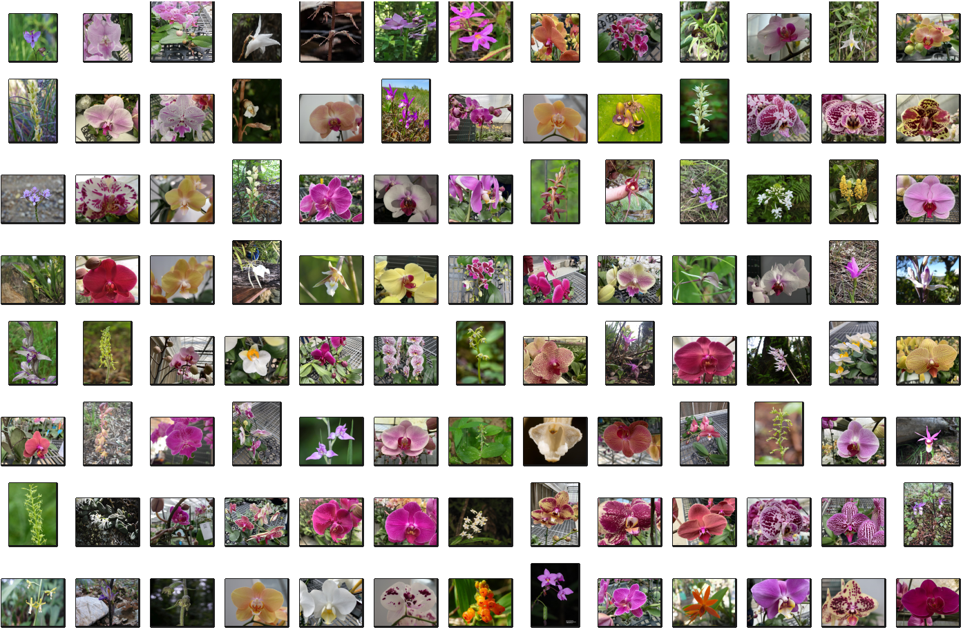 【macOS Sonoma 14.1.2】Image Classification on Custom Dataset using Vision Transformer on MacBook Pro
