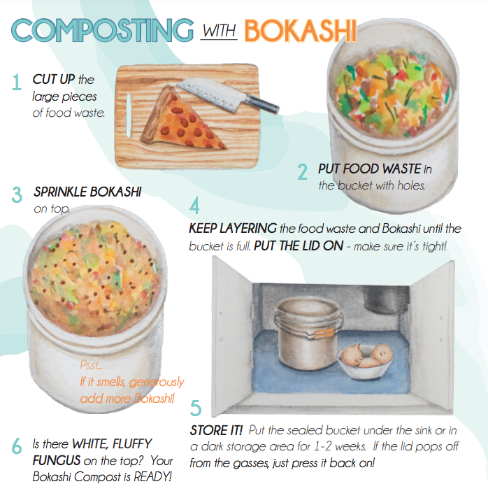 How to Bokashi your food waste 