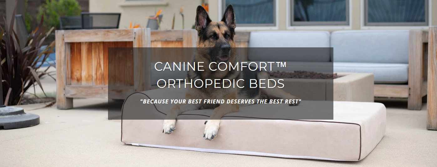 Orthopedic Beds for Dogs