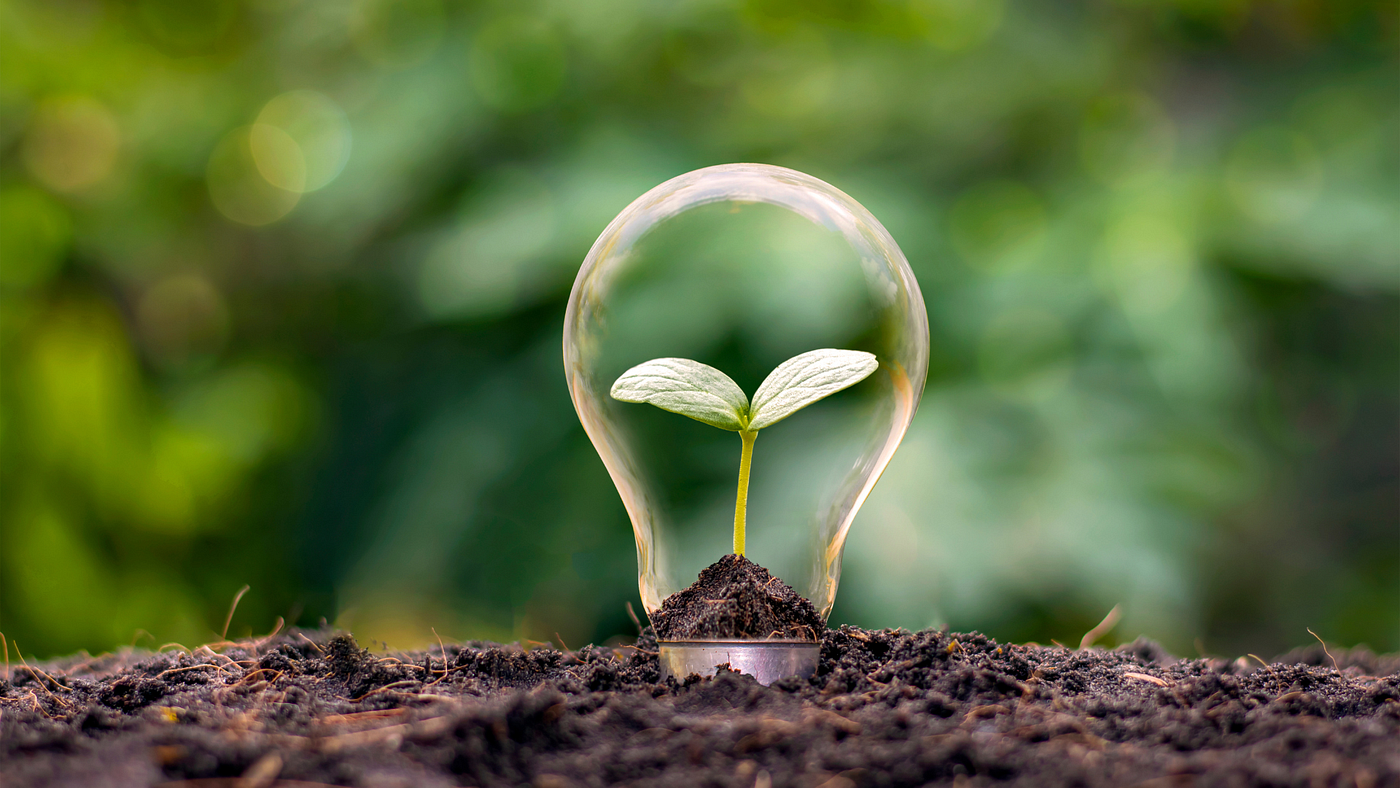 Você já ouviu falar nas Soluções baseadas na natureza (SBNs)?