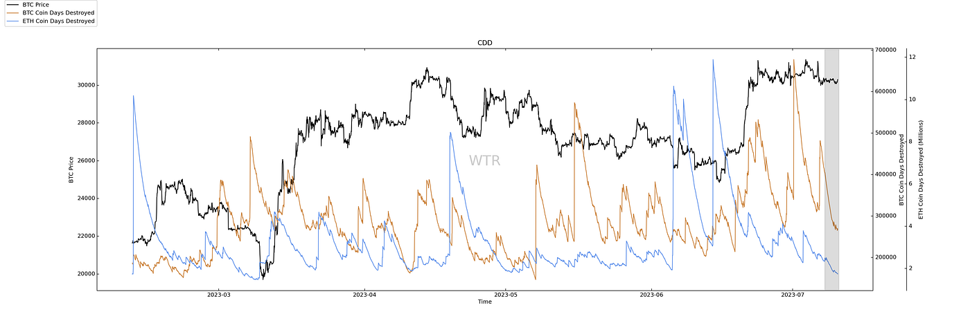 阶下青苔，雨中寥落｜WTR 7.10