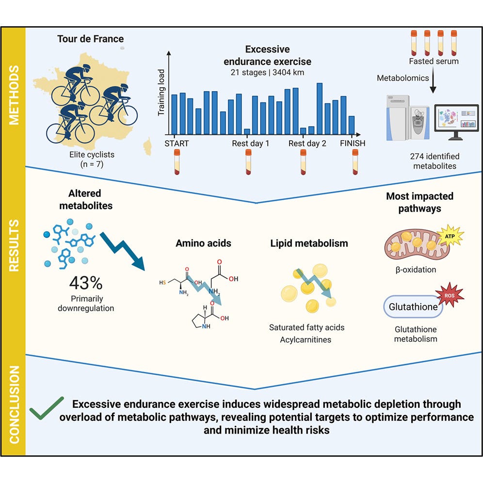 does exercise increase glutathione Top Glutathione Alternatives: Ways to Boost Antioxidants