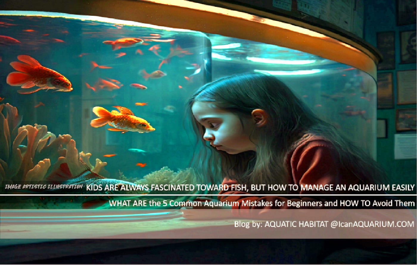 WHAT ARE the 5 Common Aquarium Mistakes for Beginners and HOW TO Avoid Them