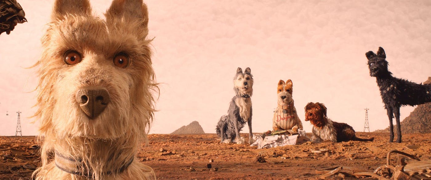 The Best Cat and Dog Movies