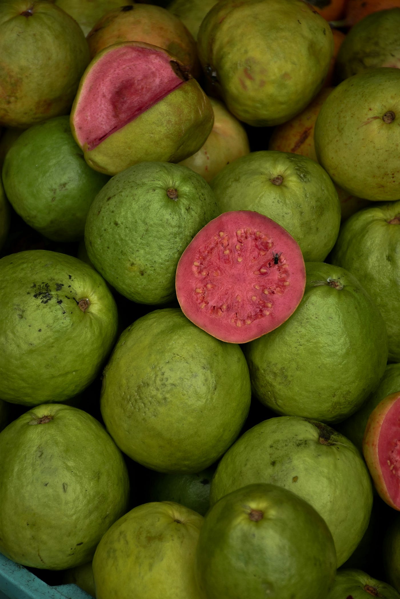 Jambu fruit discount