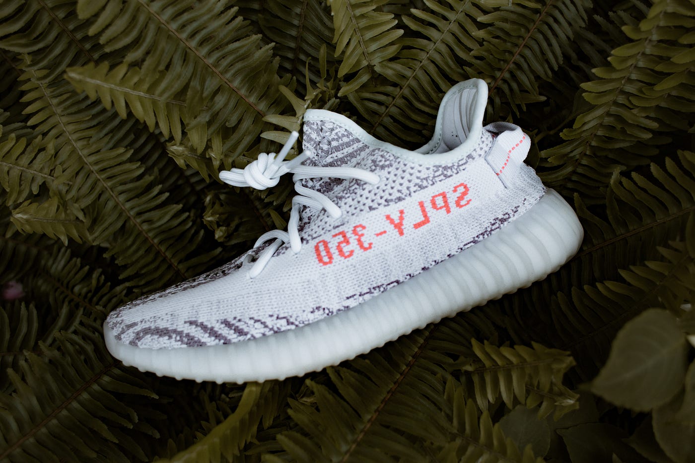 Adidas Yeezy Boost 350 v2 Blue Tint Resell | Medium