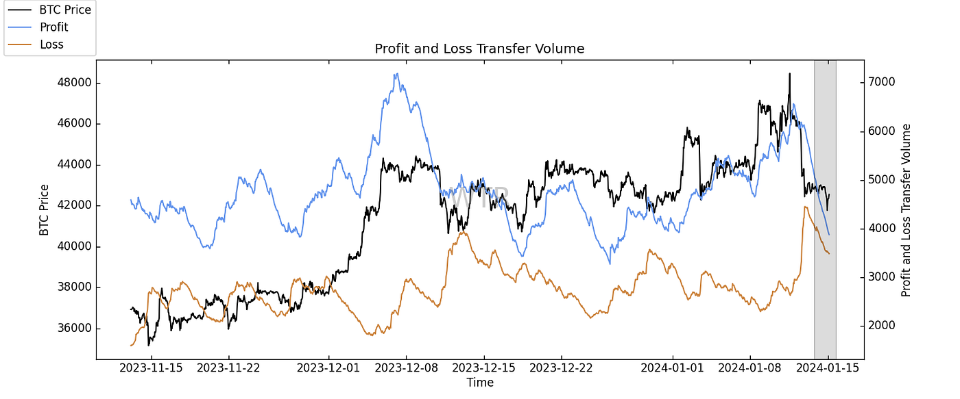 灼灼韶华,风禾尽起｜WTR 1.15