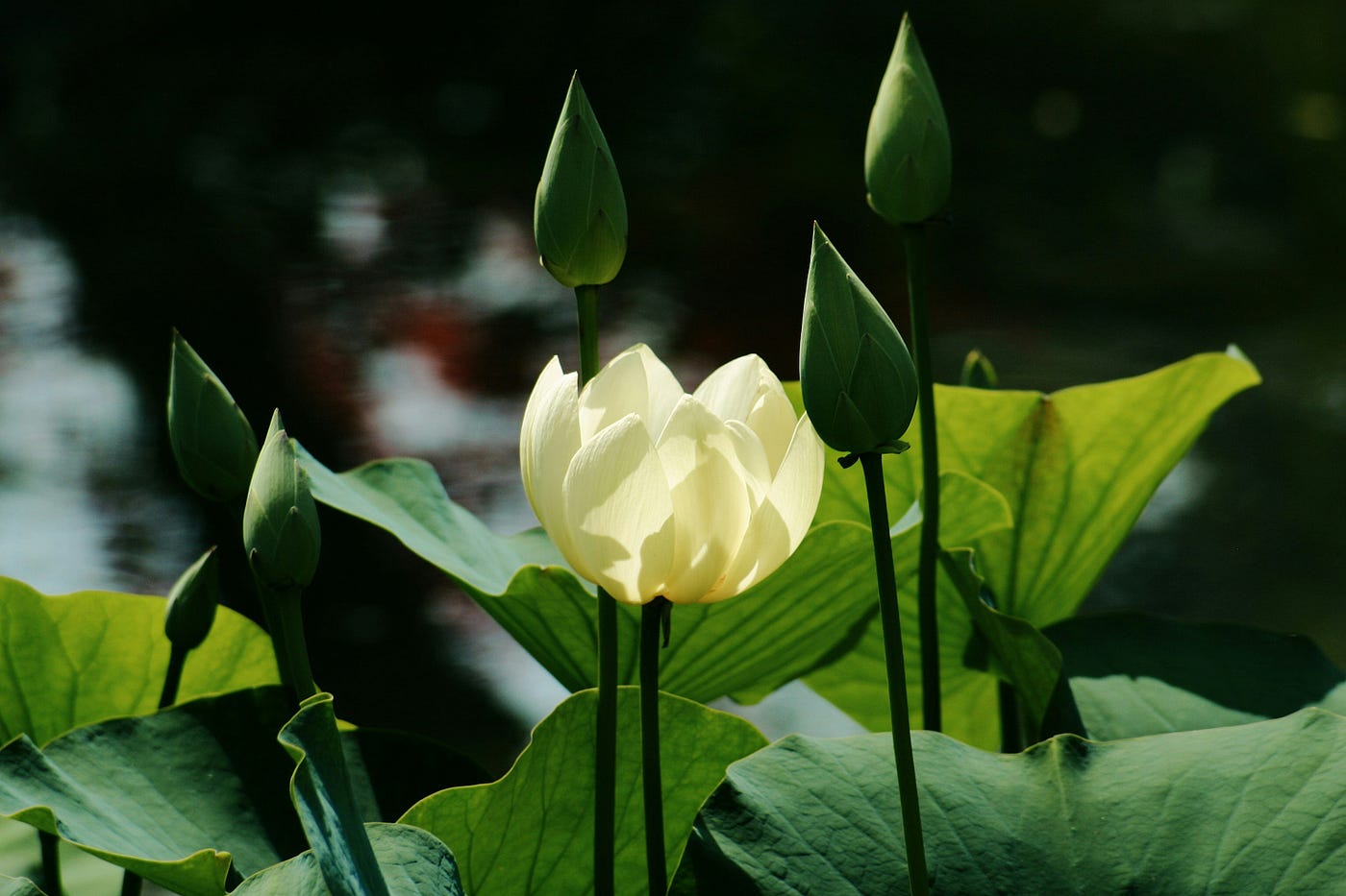 Photo by James Lee on Unsplash