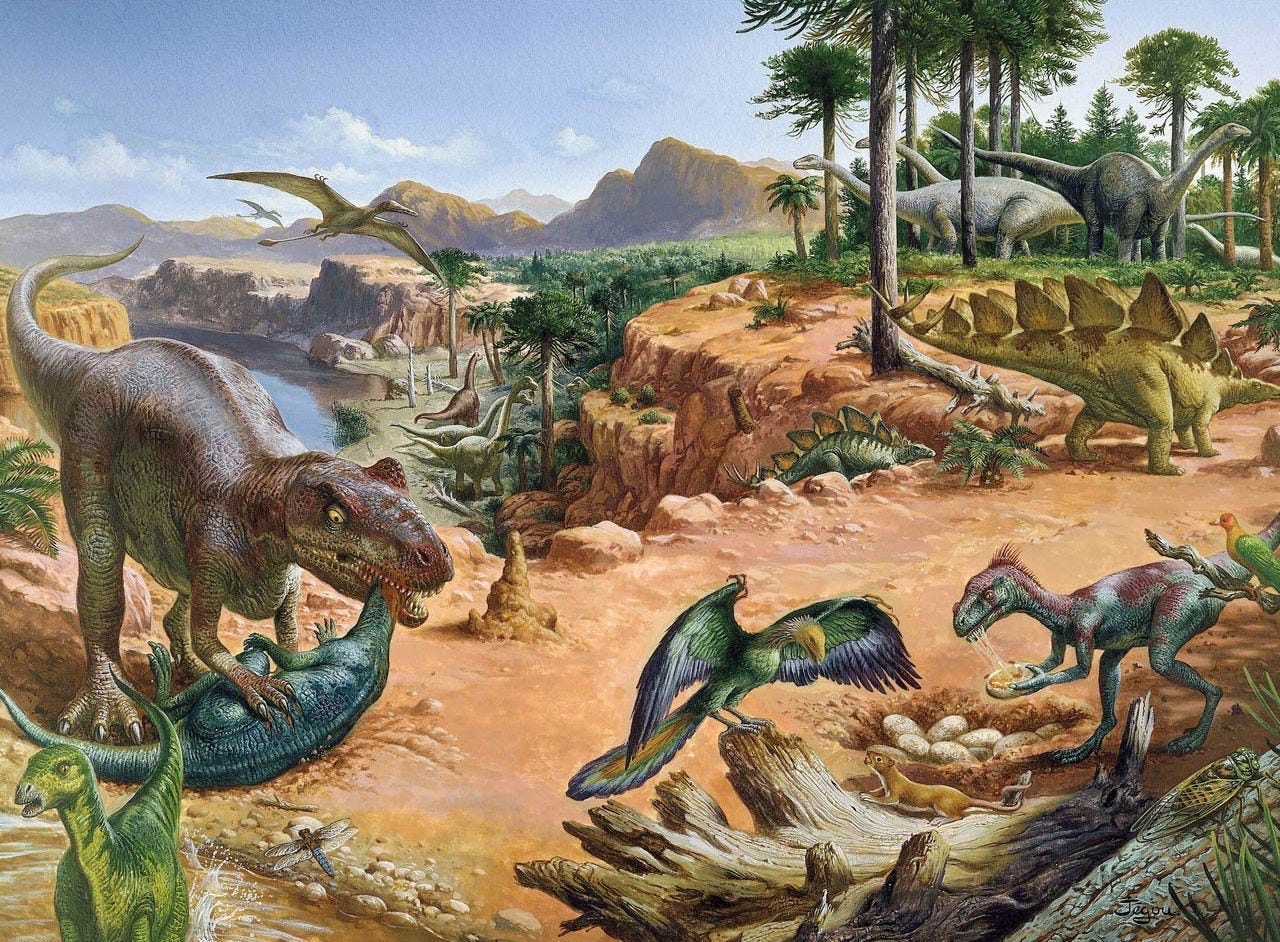 Mesozoic Era Major Plants And Animals