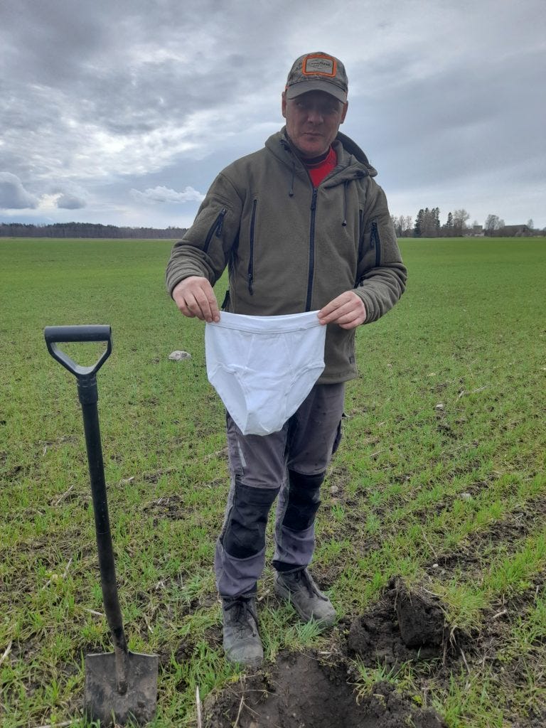 How to Test the Quality of Your Soil With Underwear - Atlas Obscura