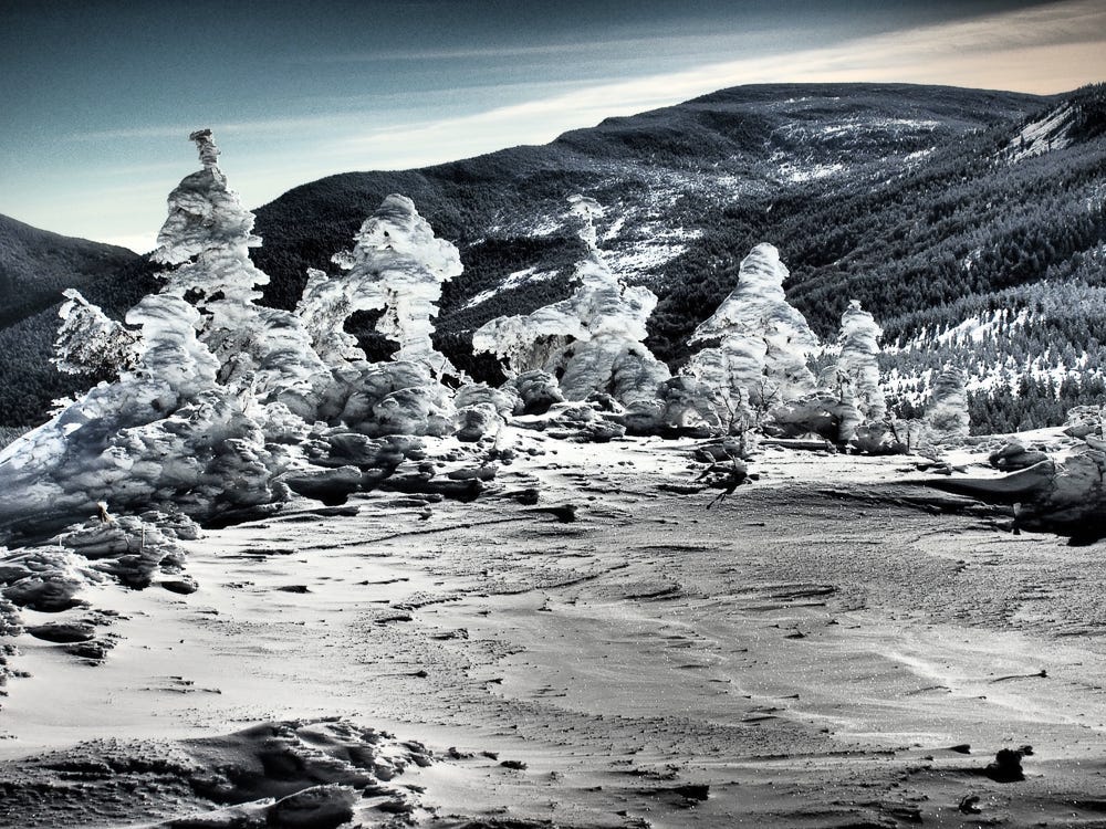 Snow Monsters of Zao, Japan. Mount Zaosan in Winter, Miyagi and