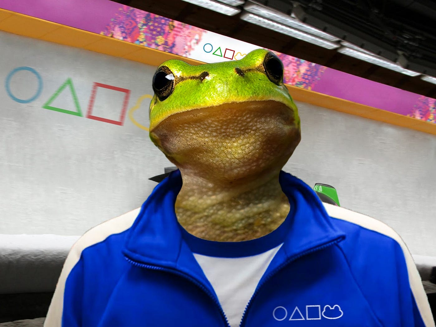 Gyroscope Level 4: Frog Games III! | by jooooo5as | gyroscope-protocol |  Medium