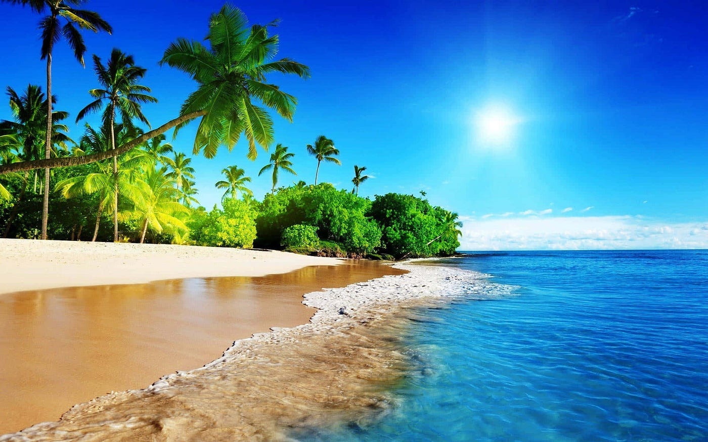Summer Season: A Celebration of Sunlight, Enjoy and Splendor | by Alexander Jack | Medium