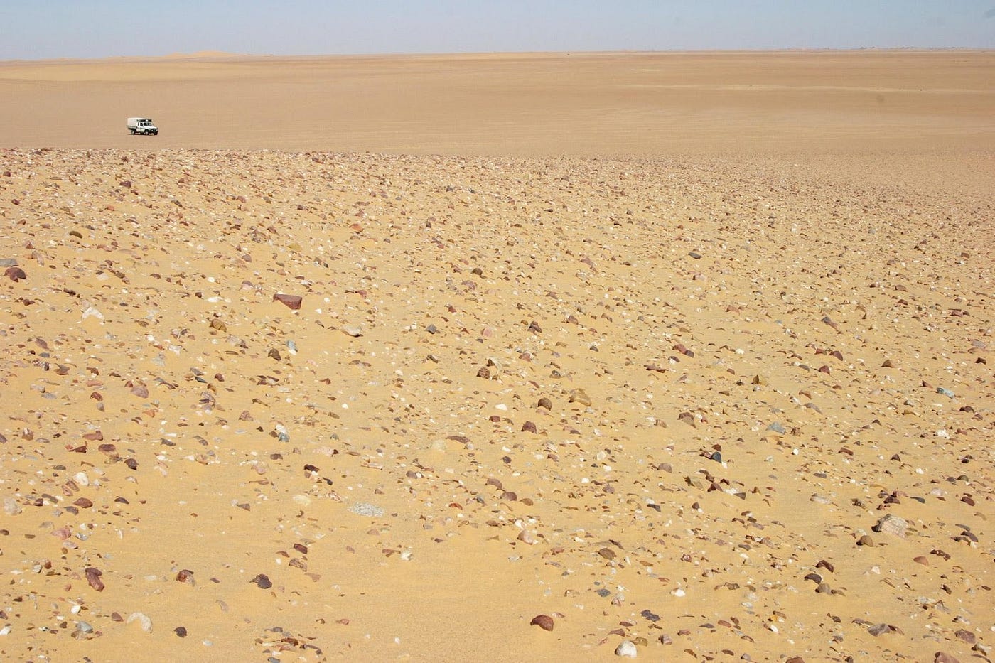 Foto 16: Blick über den östlichen Schenkel der Siedeldüne “S95BK25” nach Norden